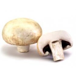 Hel Kasse Champignon Medium