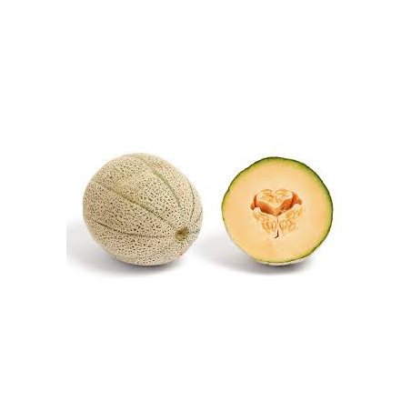 Cantaloupe Melon