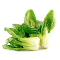 Pak Choi Kål