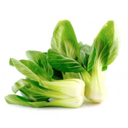 Pak Choi Kål