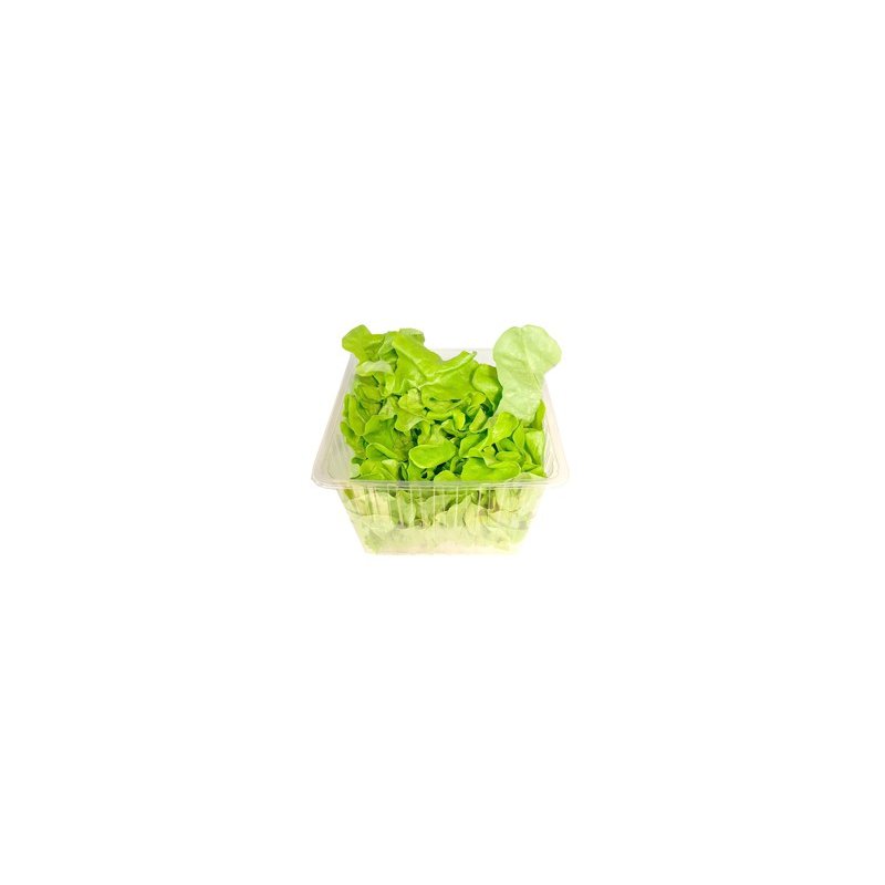 Salat Ekeblad Grønn