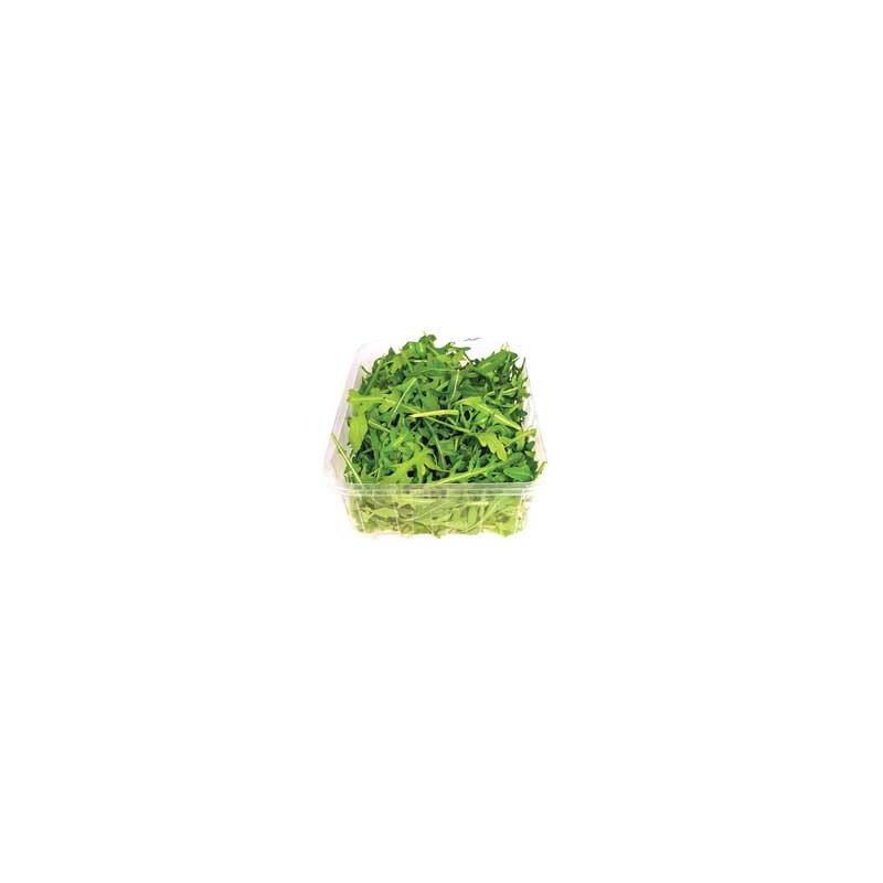 Salat Ruccula