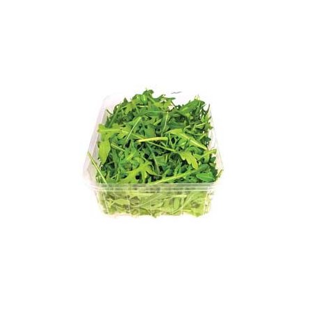 Salat Ruccula
