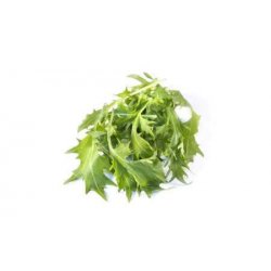 Ruccula Salat vasket