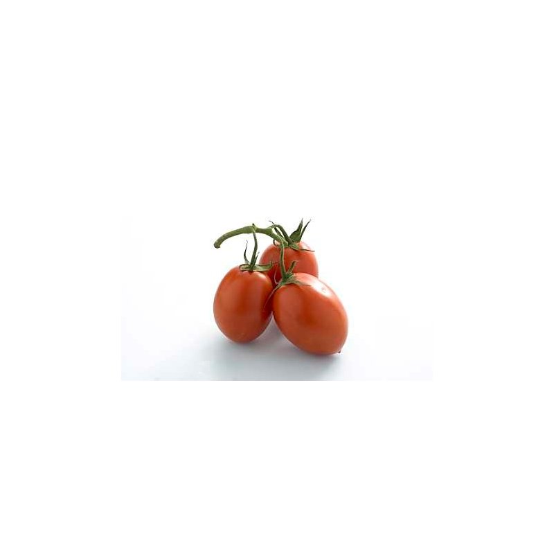 Plommetomat 1kg