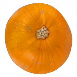 Gresskar Halloween