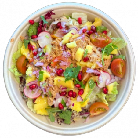 Kylling pulled m/Mango Salsa