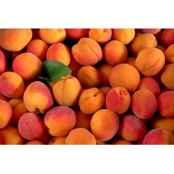 Aprikos 400g Cevita