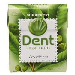 Dent Eukalyptus