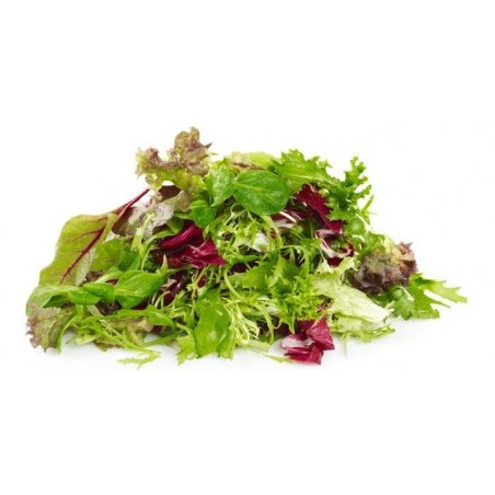 Salat Miks