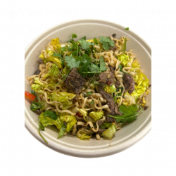 Vietnamesisk Nudlesalat m/Biffstrimler