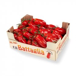 San Marzano Tomater