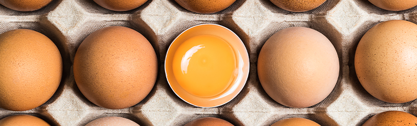Egg